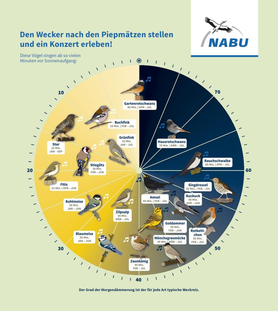 Die NABU Vogeluhr wird erklärt