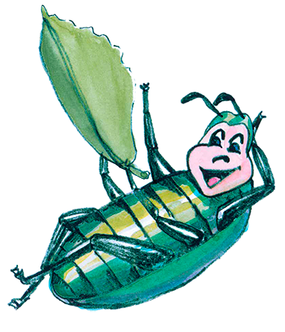 Rosenkäfer Illustration Rosi liegt auf dem Rücken