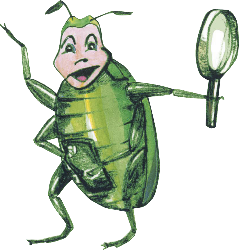 Eine Illustration des Rosenkäfers Rosi erklärt den Lehrpfad in Rosenfeld