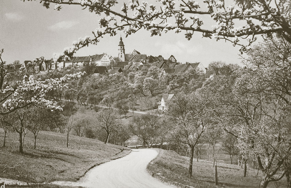 Altes Foto von Rosenfeld