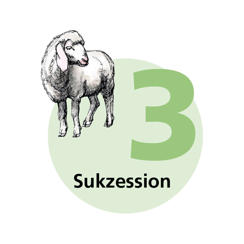 Tafel 3: Sukzession