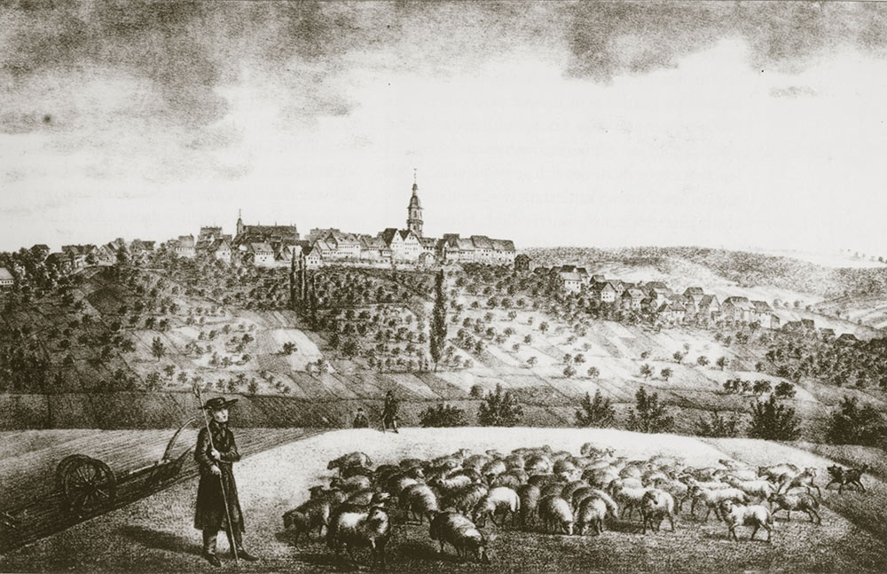 Zeichnung mit Schafweiden, die als Einnahmequelle der Stadt dienten