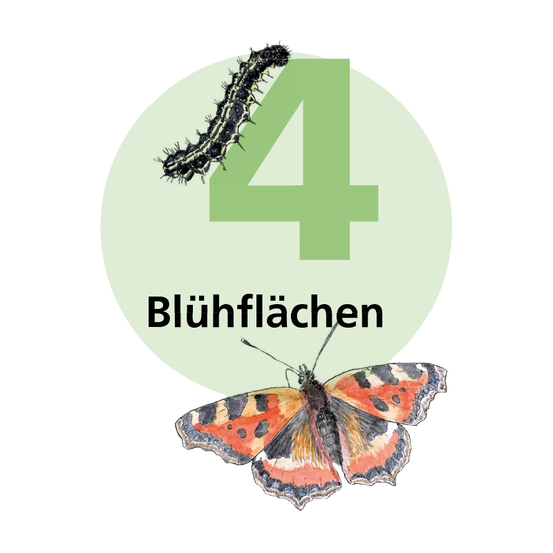 Tafel 4: Blühflächen