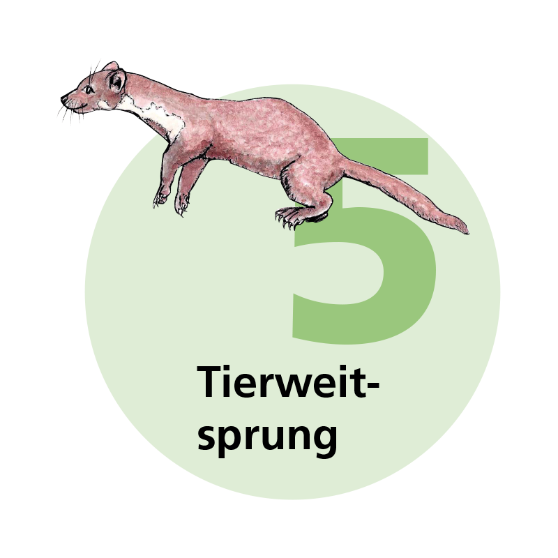 Zur Seite der Tafel 5: Tierweitsprung